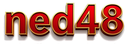 ned48 logo